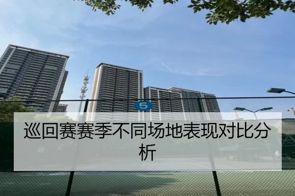 巡回赛赛季不同场地表现对比分析